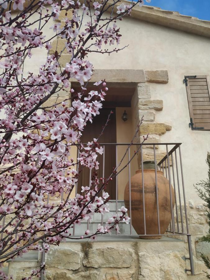 Affittacamere Maset Del Riu Valderrobres Esterno foto