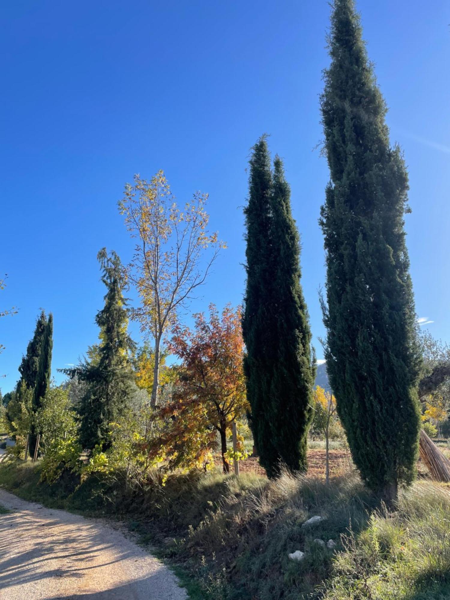 Affittacamere Maset Del Riu Valderrobres Esterno foto