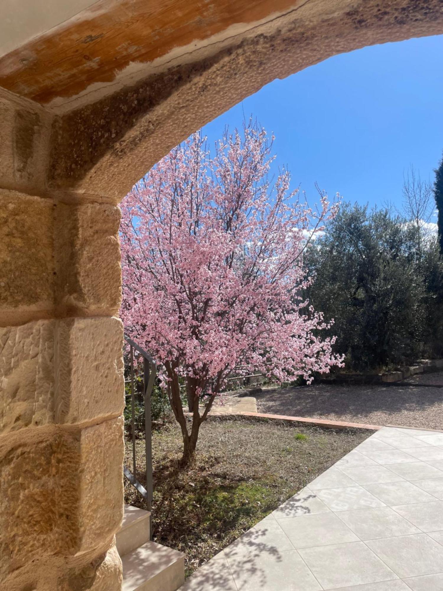 Affittacamere Maset Del Riu Valderrobres Esterno foto